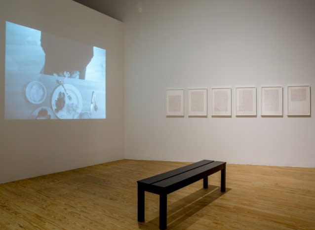 Luis Camnitzer, Coco Fusco