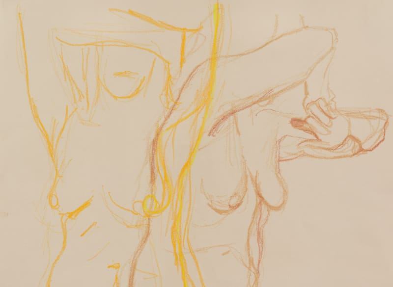 Lorraine O'Grady, Joan Semmel