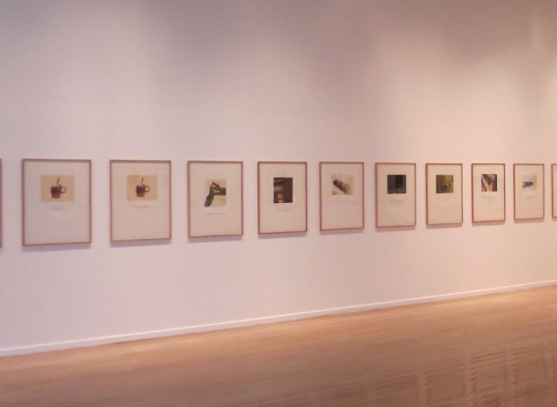 Luis Camnitzer, Valeska Soares