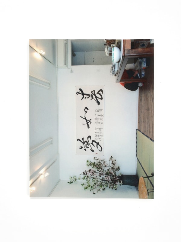 We are going home. Come on, let's go home