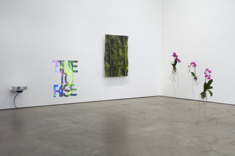 Time to Rise, Pennacchio Argentato