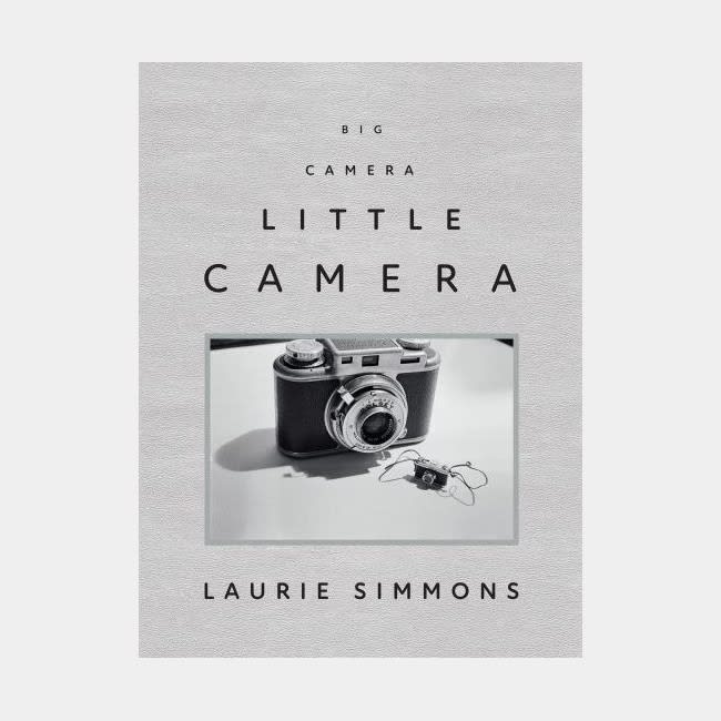 Laurie Simmons, Big Camera Little Camera