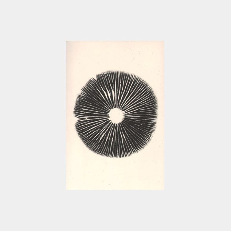 Annie Ratti , The Mushroom Project