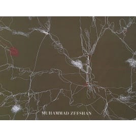 Ventures into the territory of doubt, Muhammad Zeeshan