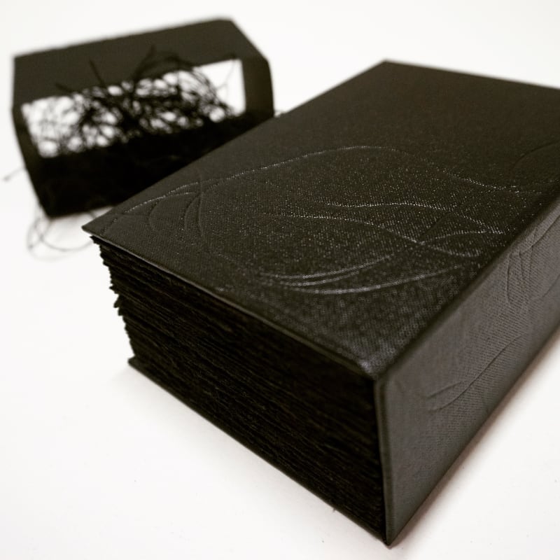 Commercial art gallery Edinburgh artist book