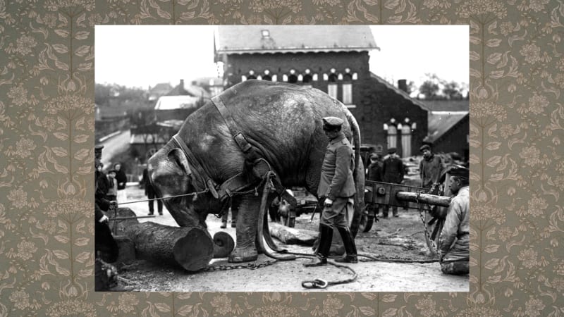 Santiago Mortyn, Language Against Identity (Prologue), 2024. Color and sound, 11'33"