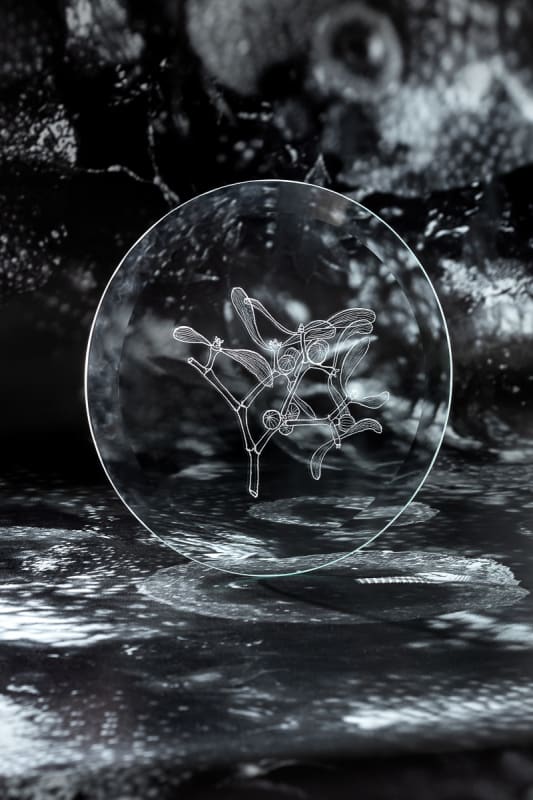 Анастасия Потемкина