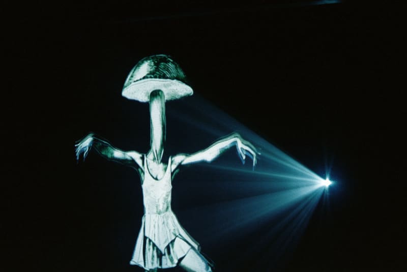 Вебинар от кураторов и участников проекта «Формат был изменён» — «Выставка-переход: мультимедиа, коллаборация и трансформация»