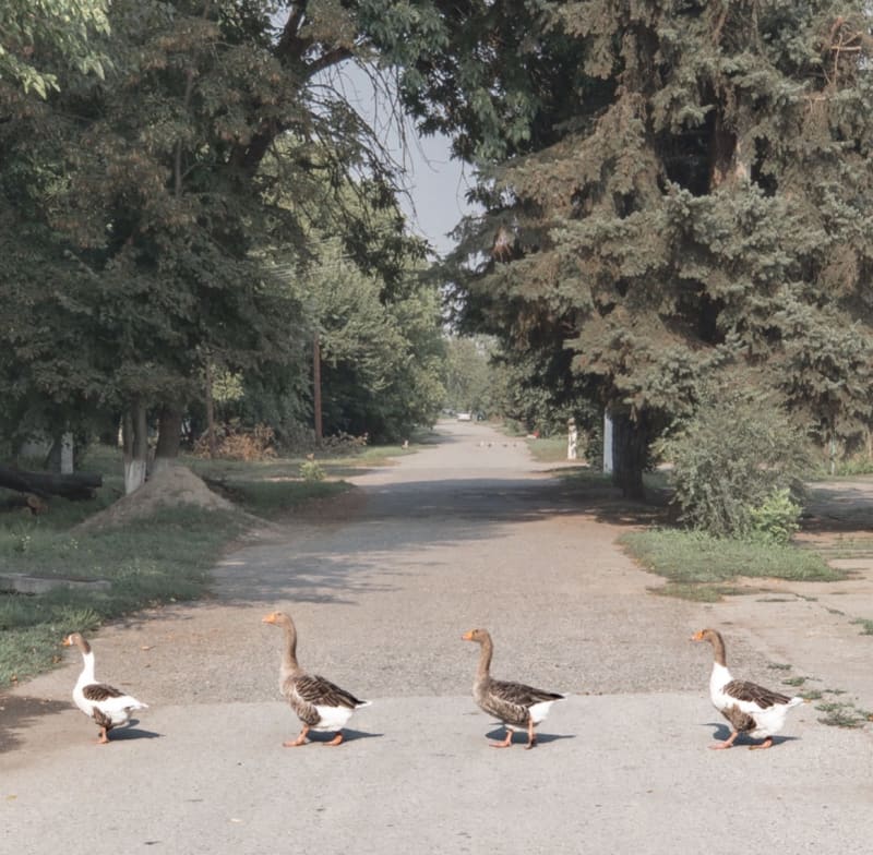 Зеркало для каждого