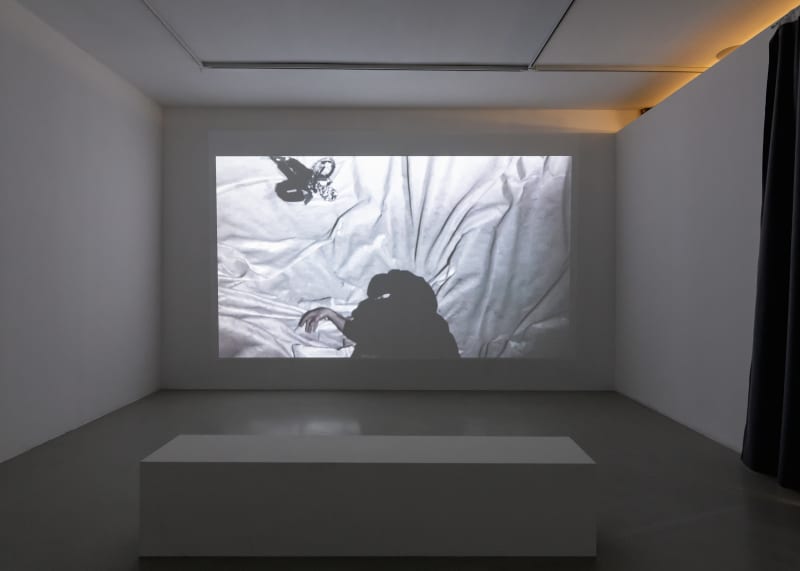 Что смотреть на выставке «Травма и перерождение» в Anna Nova