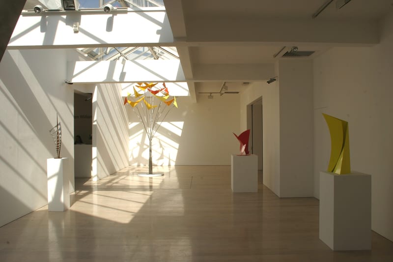 Graham Williams , Recent Sculpture