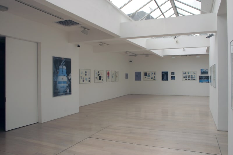 Suzanne Treister , Operation Swanlake