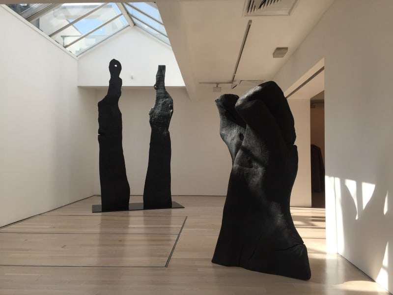 David Nash, Wood, Metal, Pigment