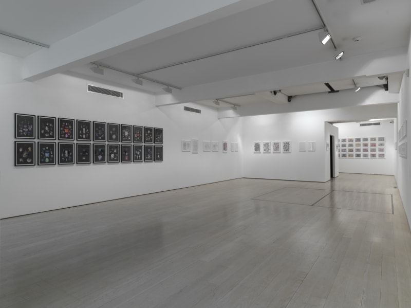 Suzanne Treister, HFT The Gardener