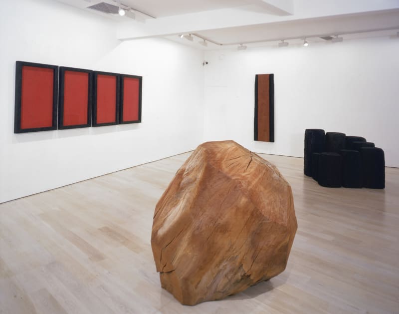 David Nash, Recent Sculptures and Colour Works