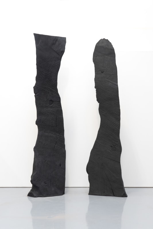 David Nash