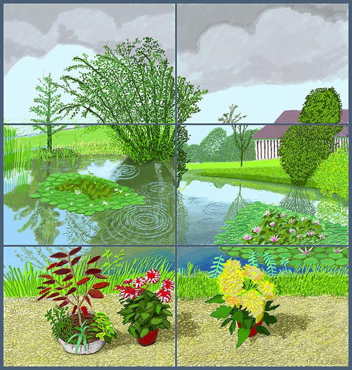 DAVID HOCKNEY LILY ANNELY JUDA FINE ART