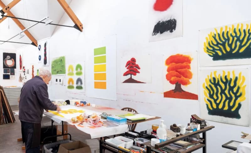 David Nash 'Aboretum'