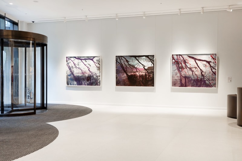 Elizabeth Magill solo presentation