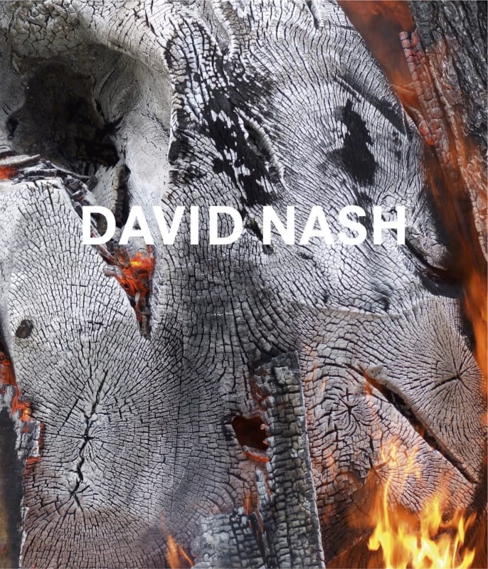 David Nash, Wood, Metal, Pigment