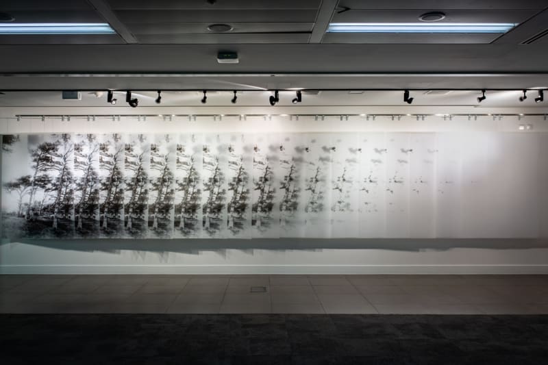 ELIZABETH MAGILL - In Two Parts