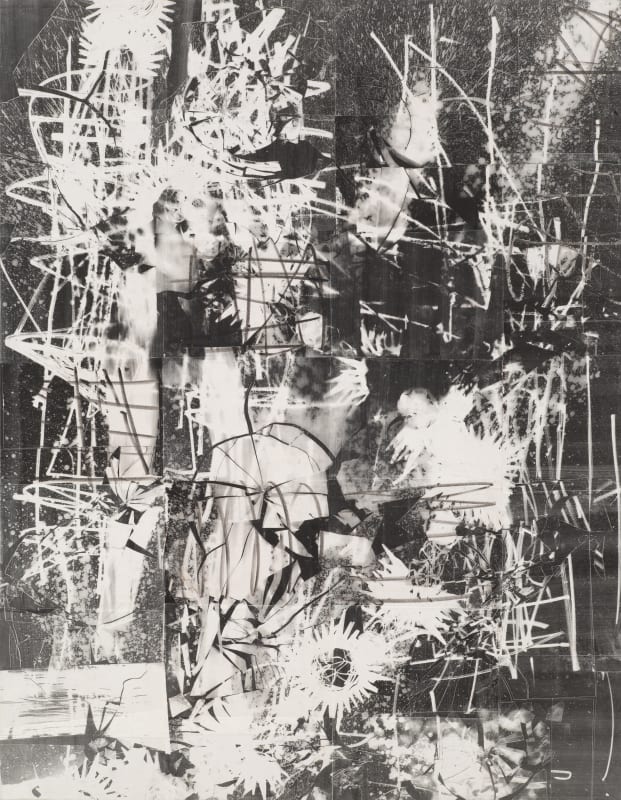 TILLMAN KAISER - IM DOM