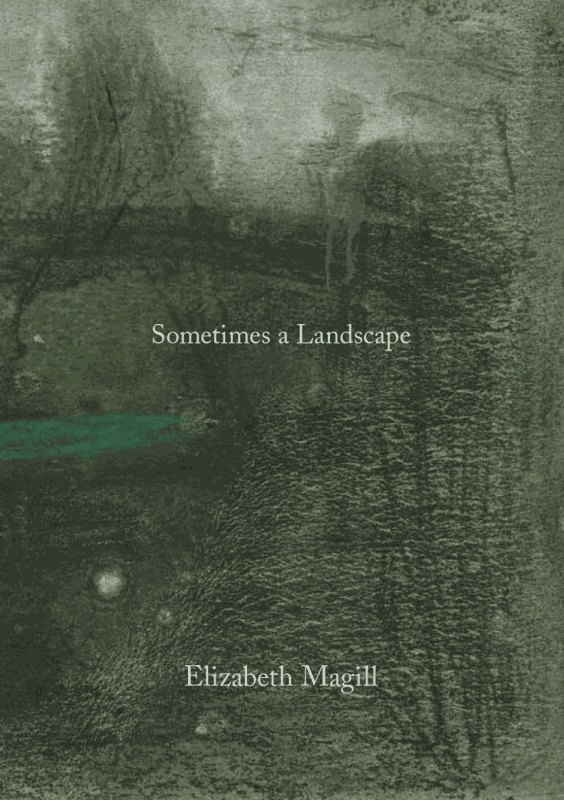 Elizabeth Magill - Sometimes a Landscape