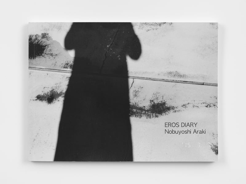 Cover of Eros Diary