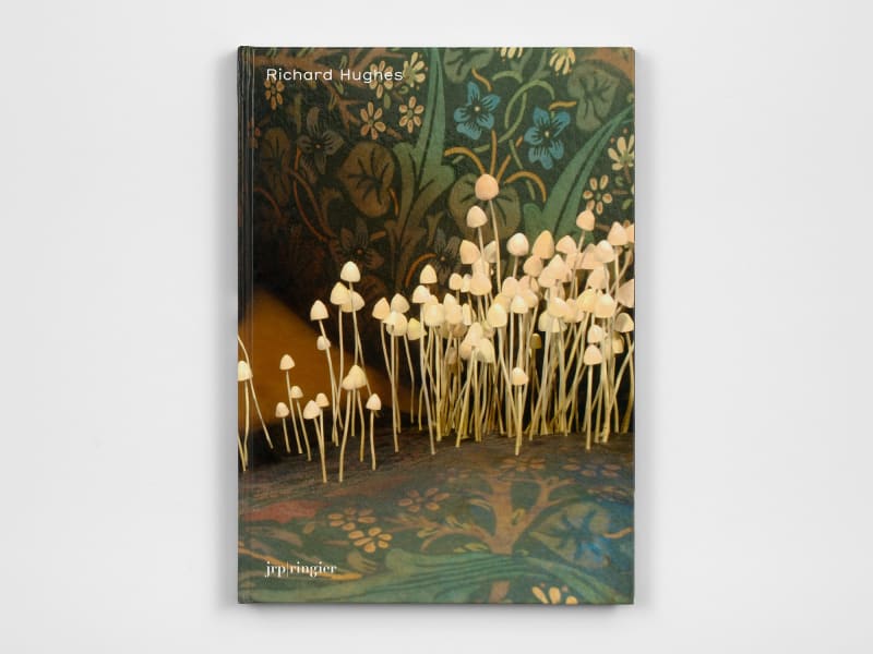 Cover of Richard Hughes [2012]