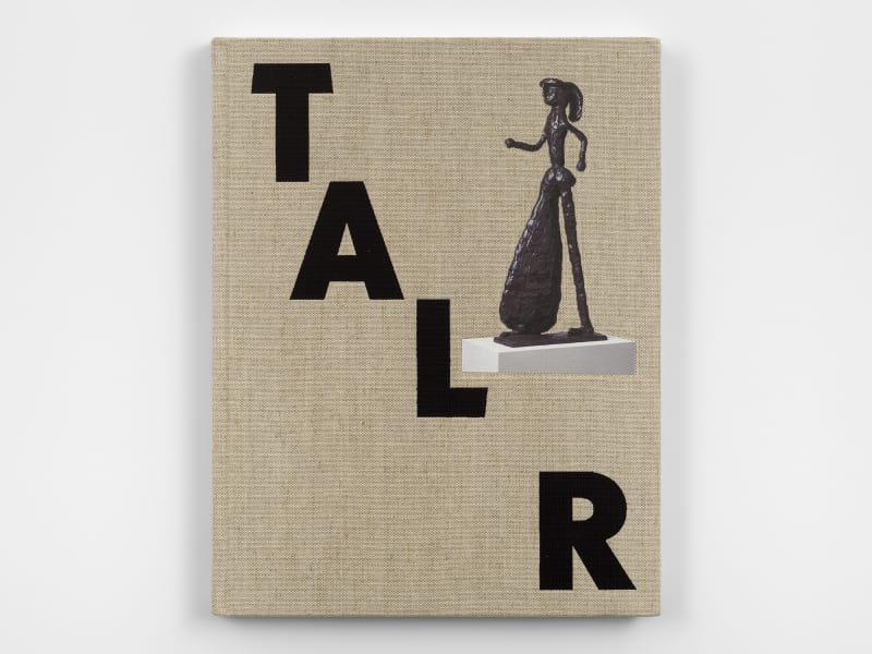 Cover of Animals and People