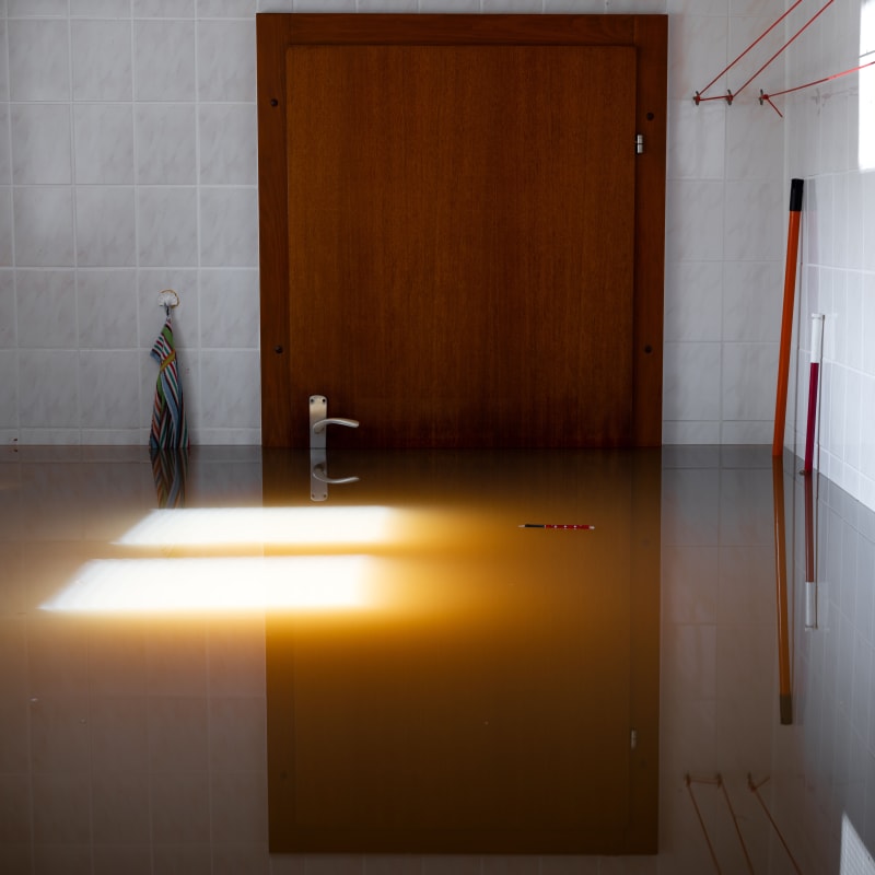 WATERMARKS, Gideon Mendel