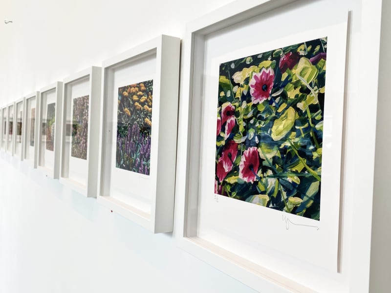 The Joy of Colour - Karl Maughan