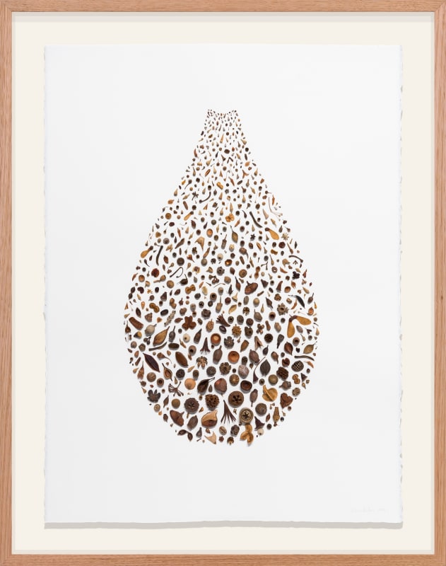 ‘Seeding/Receding’, seedpods, seeds and found materials on paper, 86 x 66 cm (framed)
