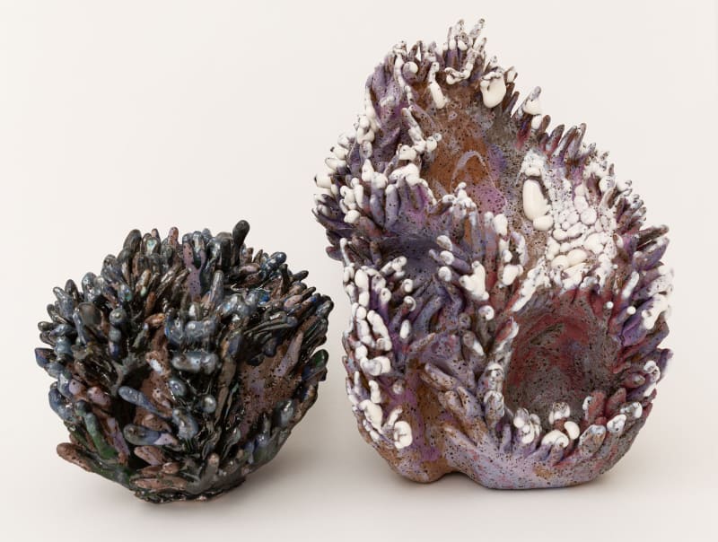 Amelia Lynch, Interconnections, glazed ceramic, 26 x 32 cm (dimensions variable)