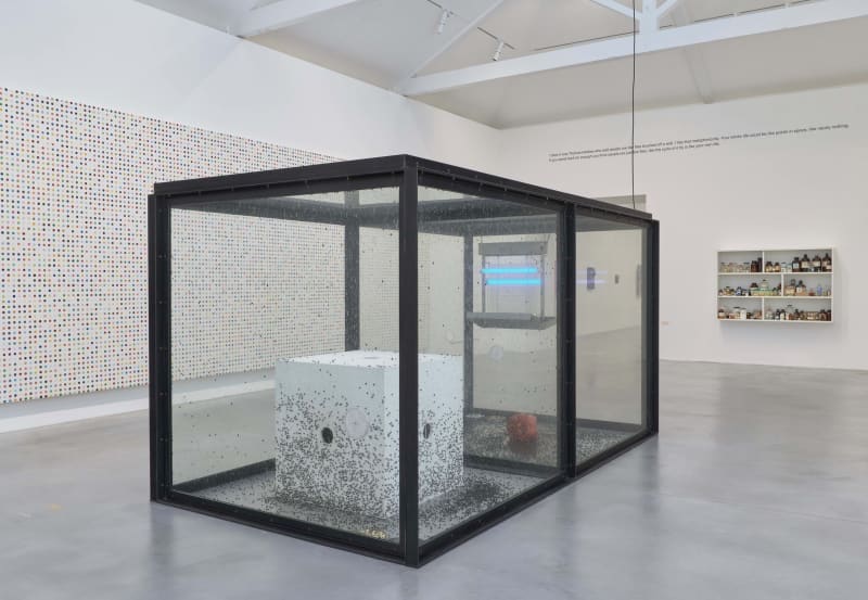 Damien Hirst Newport Street Gallery London End of a Century