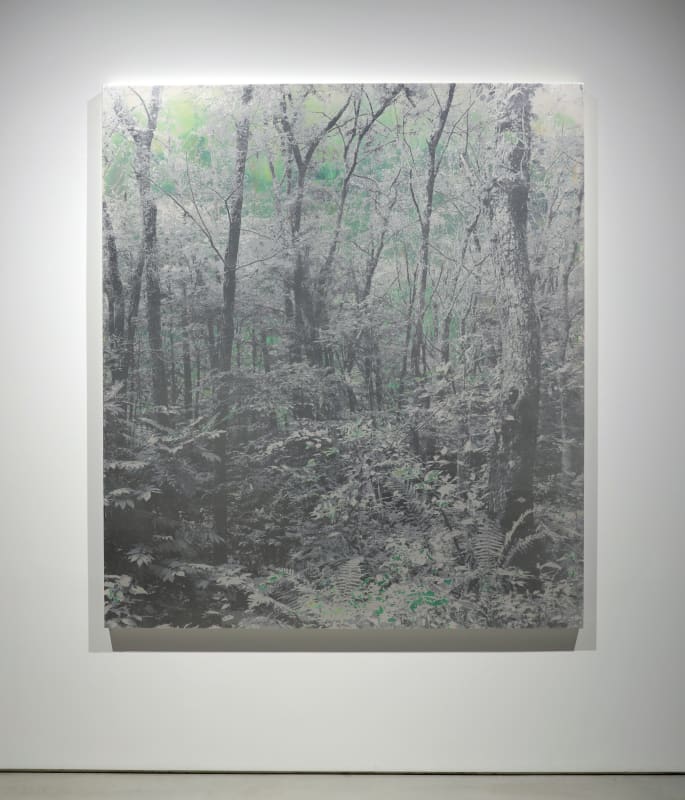 Installation image of artwork by Masayoshi Nojo