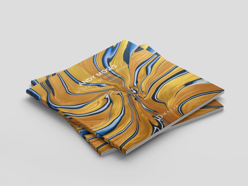 Andy Moses ‘In Search of the Sublime’ , Exhibition Catalogue