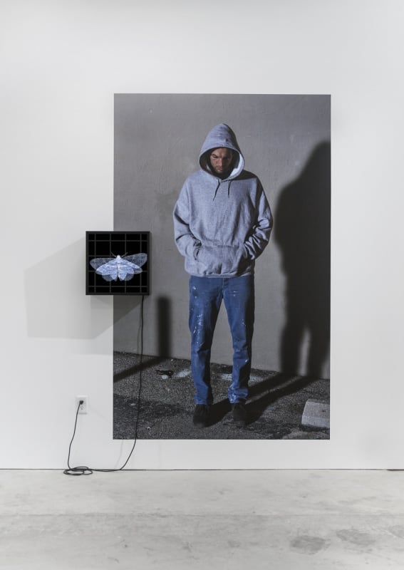 Time Image, Owen Kydd