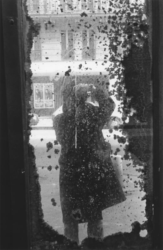 Daido Moriyama: Dog and Man