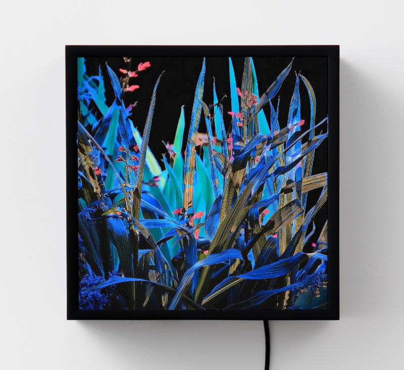 Surface / Signal : Owen Kydd and Kyle Tata