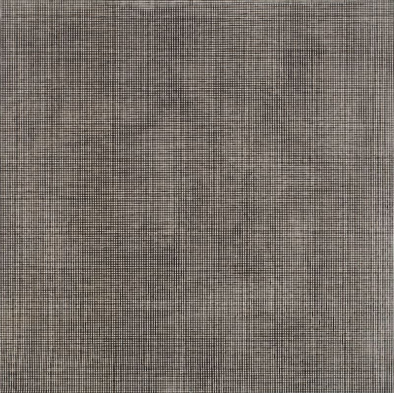 Black and white square gridded image