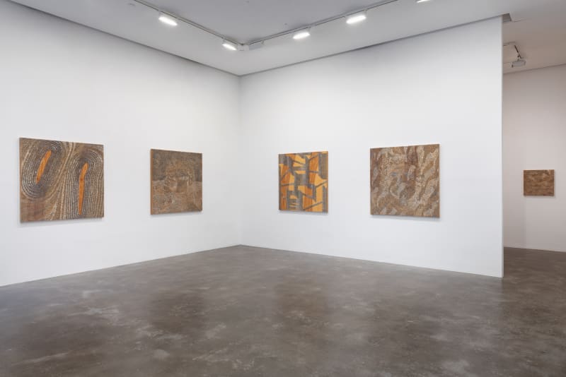 WILMER WILSON IV, PROJECTIONS THROUGH THE NICTITATING MEMBRANE