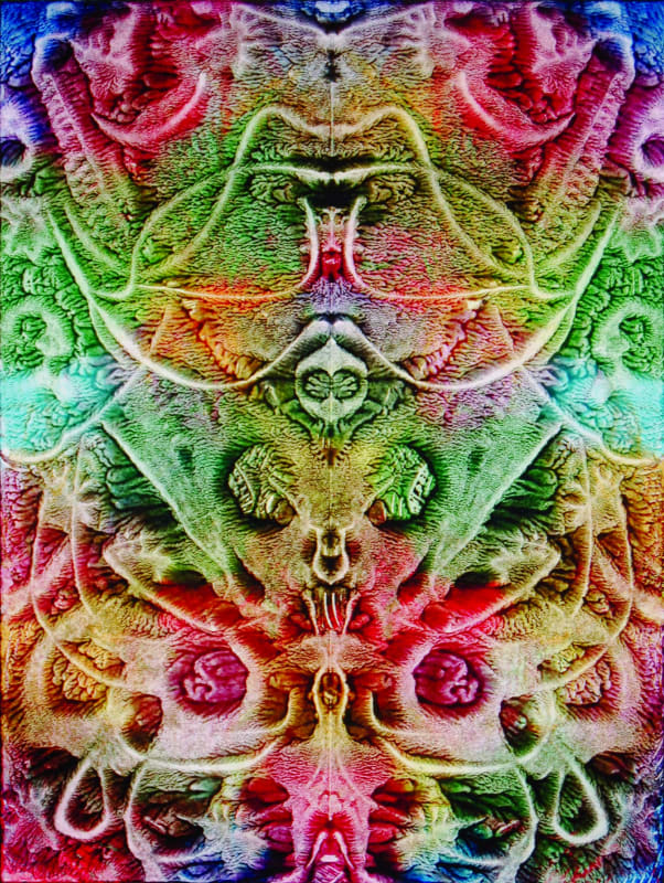 A kaleidoscopic image of swirling foliage-like psychedelic patterns 