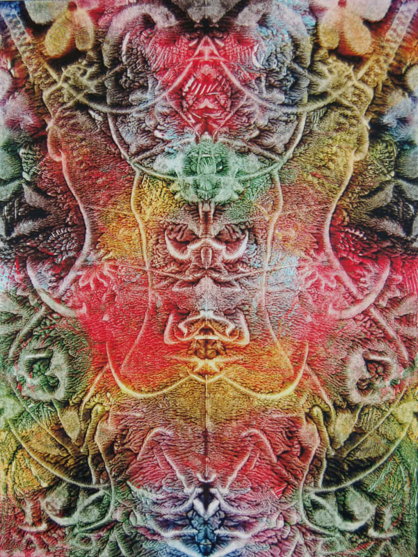 A kaleidoscopic image of swirling foliage-like psychedelic patterns 