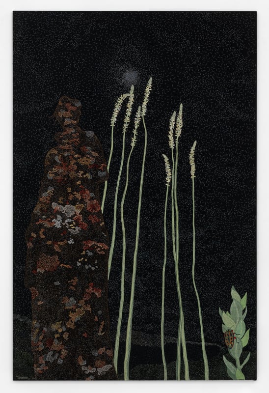Tamar Mason, Seeing Shadows