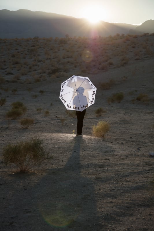 We don't want to set the world on fire, 2019