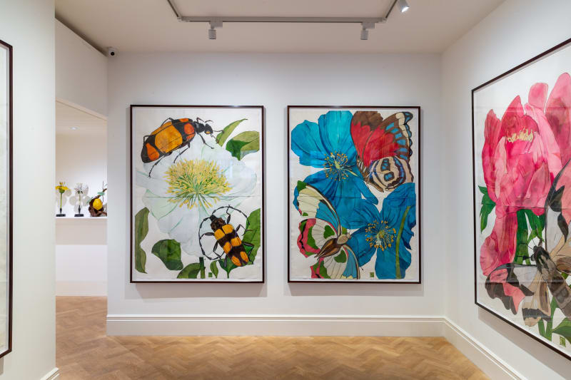 Sarah Graham exhibition overview image