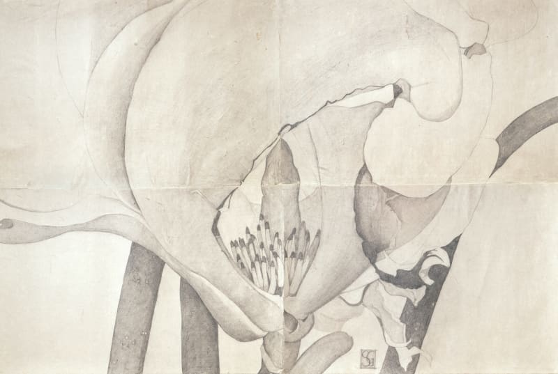 Sarah Graham, 20 Bourdon Street