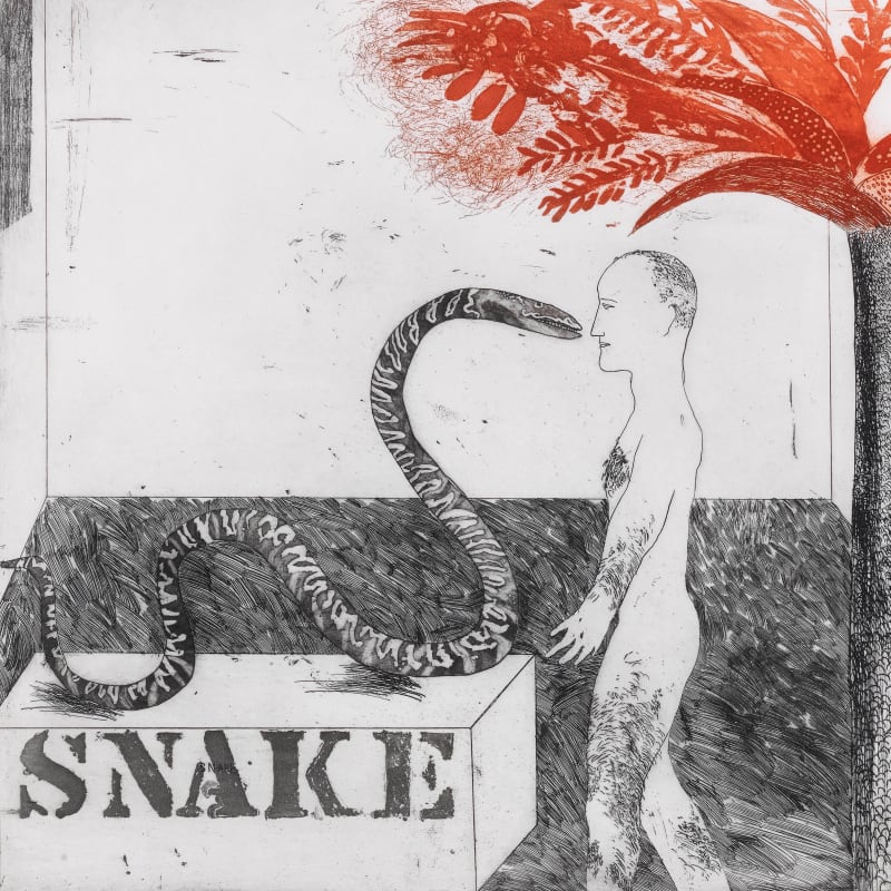 David Hockney - artwork overview image