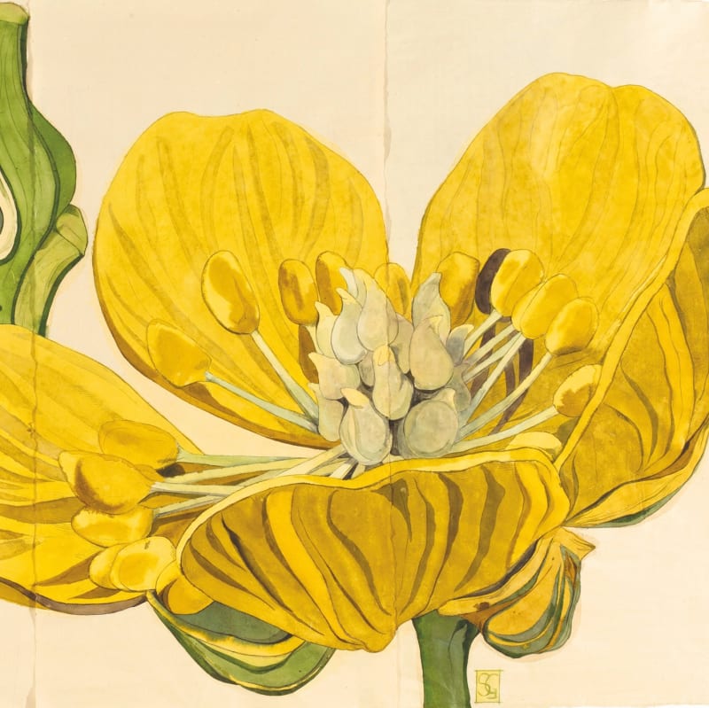 Sarah Graham artwork detail overview image